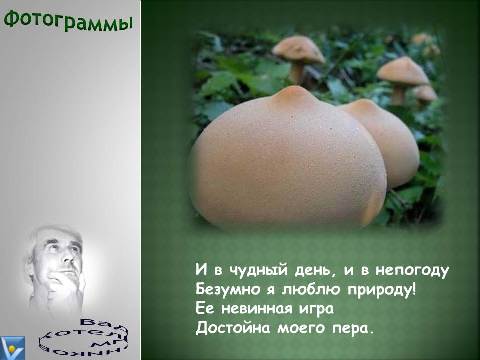 Фотограмма: чудеса природы, забавная природа, грибы-сиськи